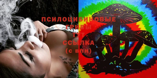 герыч Няндома