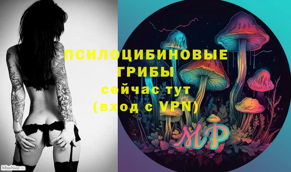 бутират Алзамай